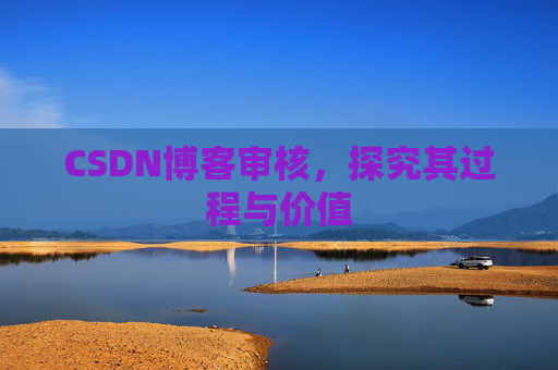 CSDN博客审核，探究其过程与价值